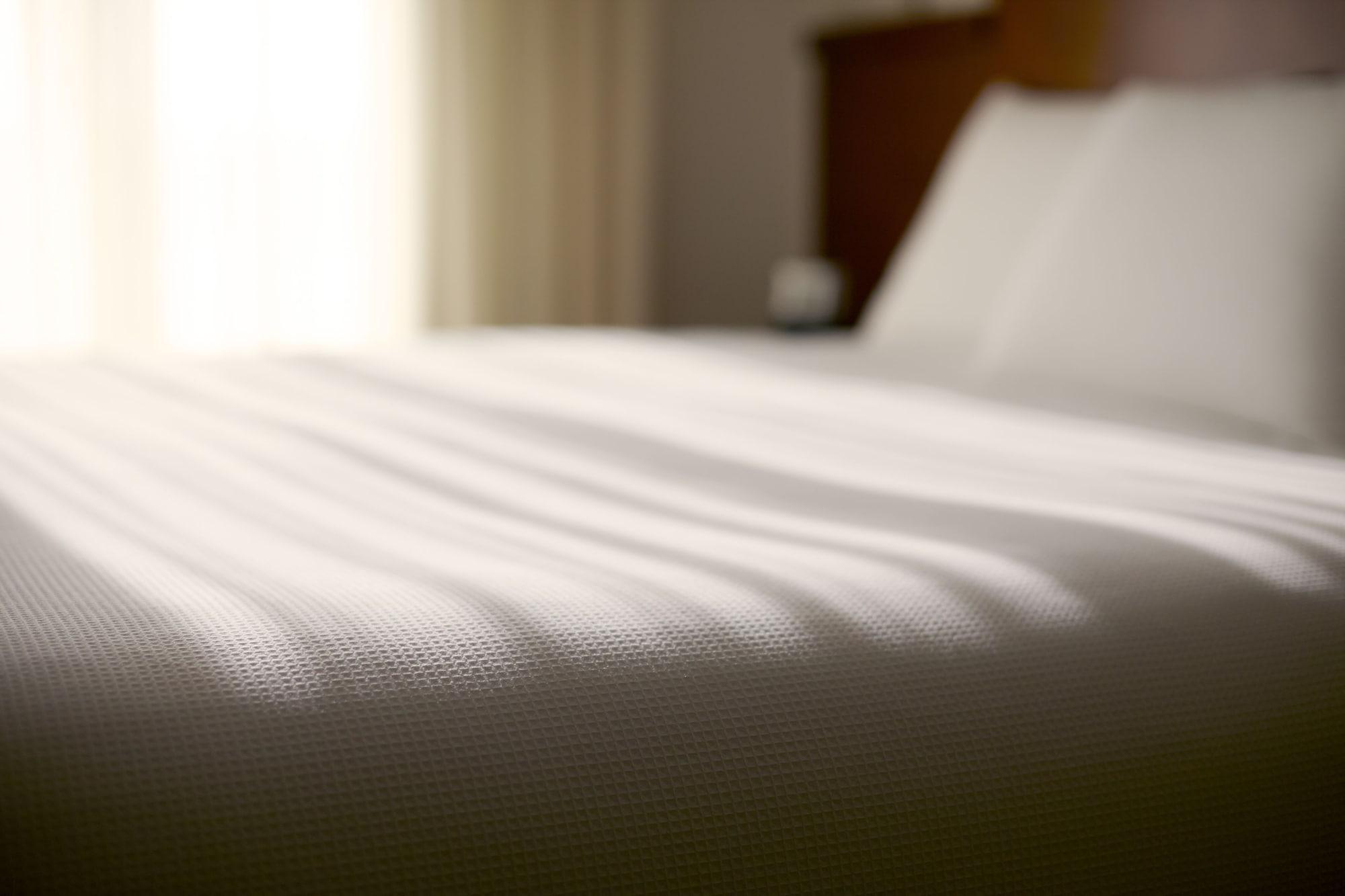 Hyatt Place Los Cabos San Jose del Cabo Ngoại thất bức ảnh